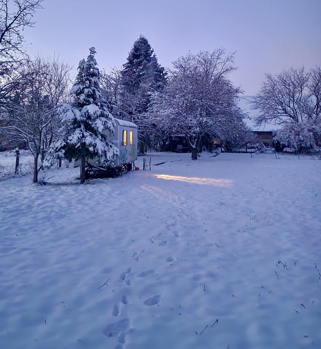 Wintermelancholie aus Jonas neuer Wahlheimat.
