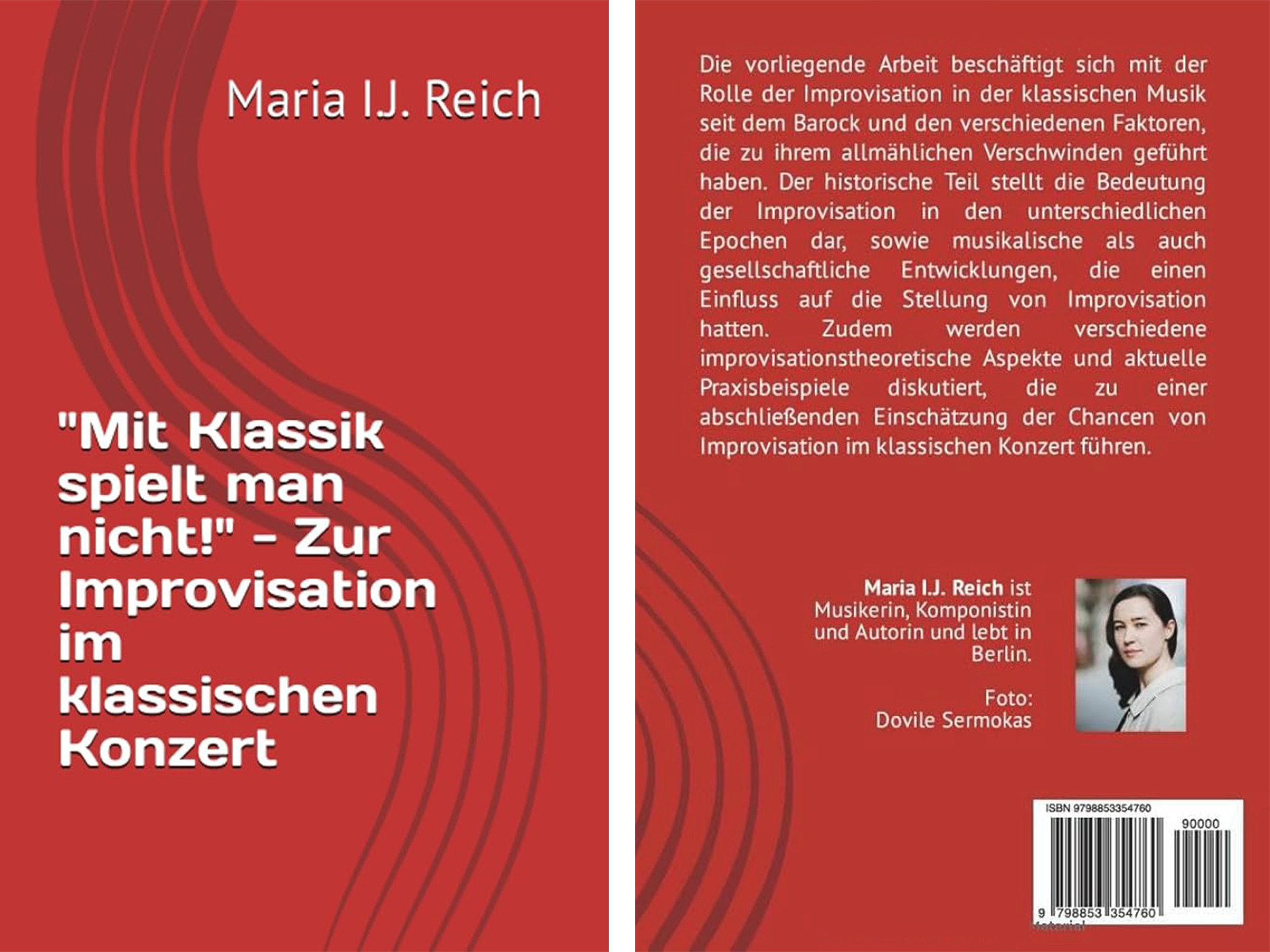 Buchcover. Im Sommer 2013 erschienen: 