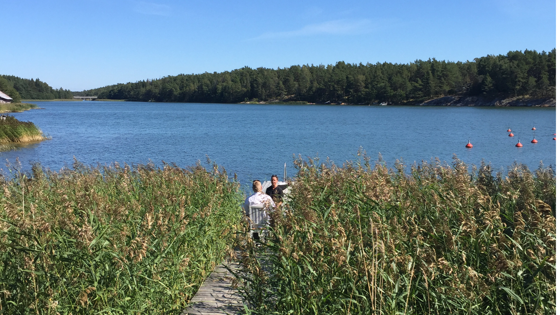 Stephanie Winker (Querflöte) spielt auf einem Steg im wogenden Schilf